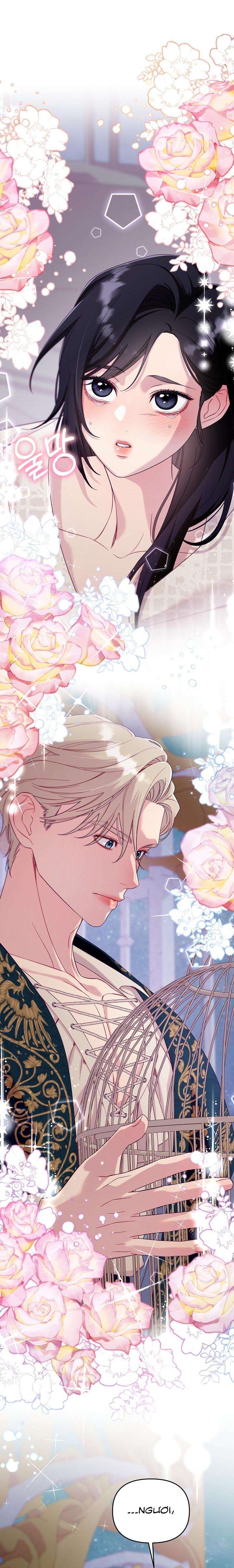 [18+] Lồng Chim Của Người Sưu Tầm Chap 2 - Next Chap 3