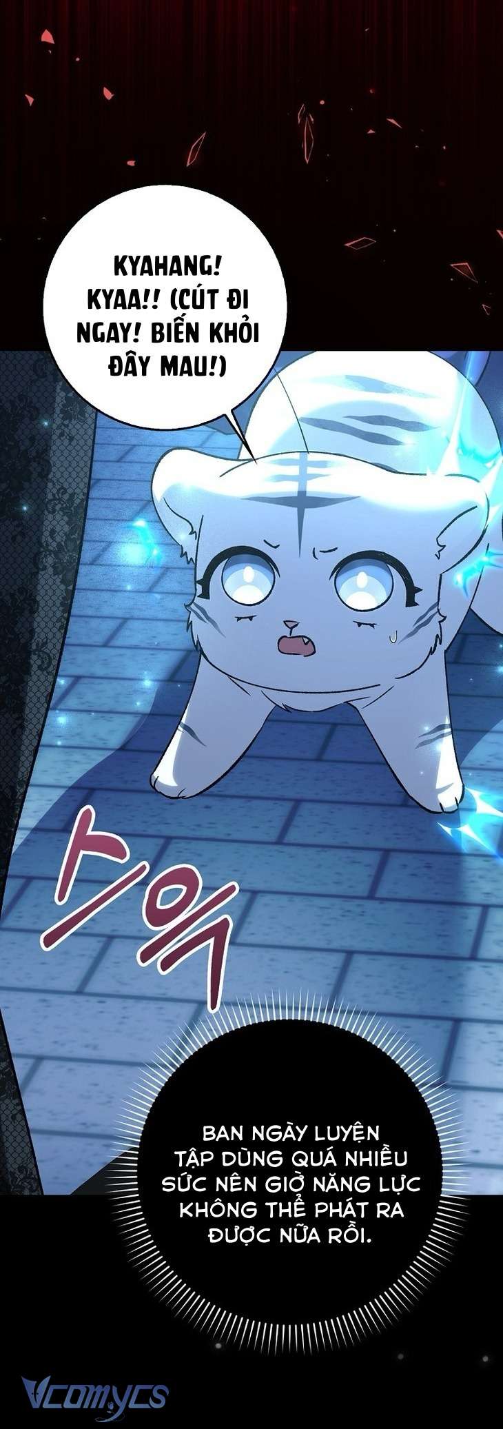 Công Chúa Bạch Hổ Không Có Nguy Hiểm Nha! Chap 14 - Next Chap 15