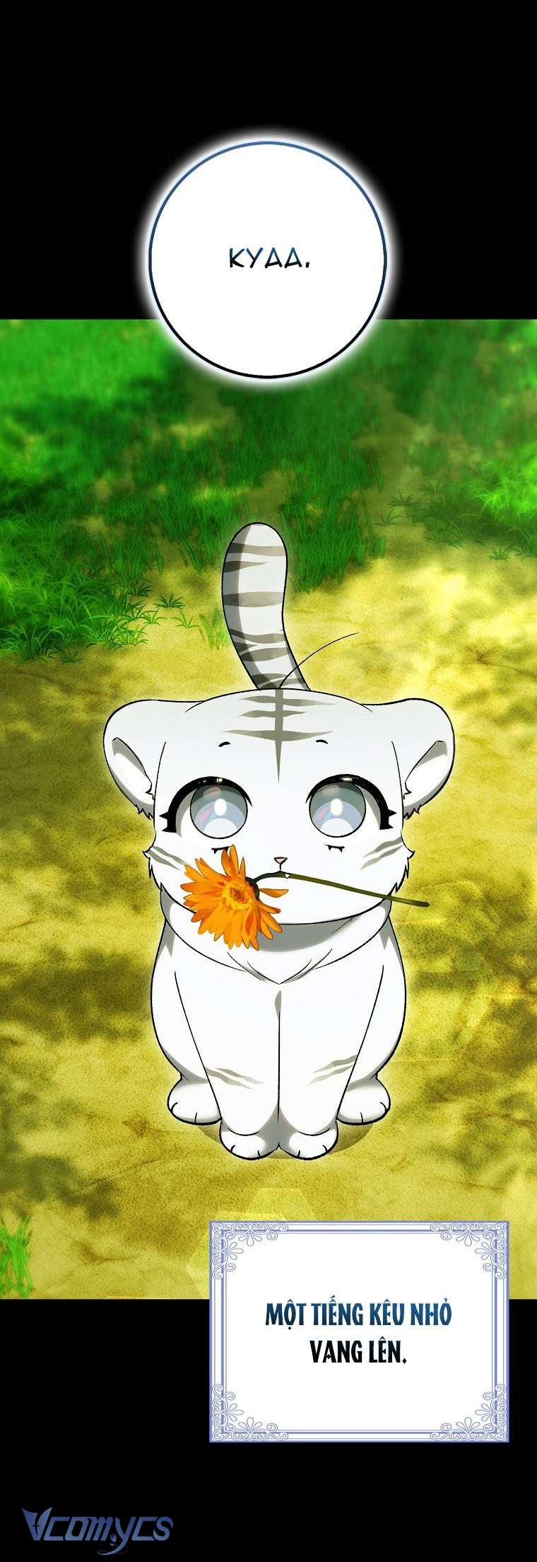 Công Chúa Bạch Hổ Không Có Nguy Hiểm Nha! Chap 13 - Next Chap 14