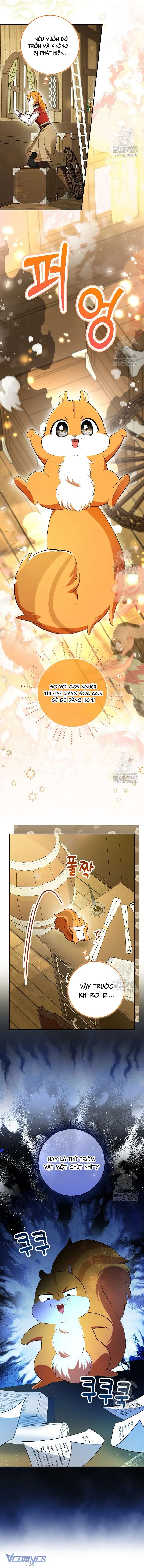 Sóc Con Tài Năng Chap 104 - Next Chap 105