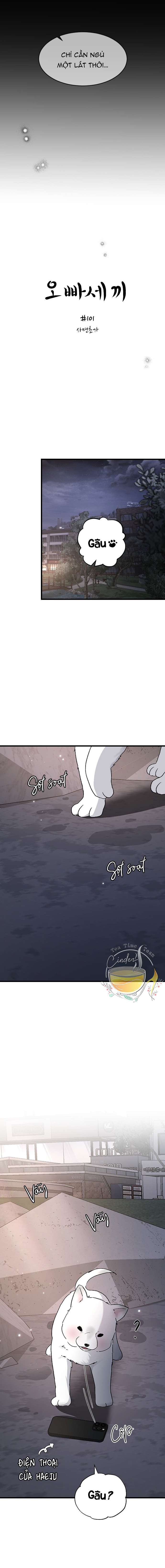 Ba Anh Trai Cực Phẩm Của Tôi Chap 101 - Next Chap 102