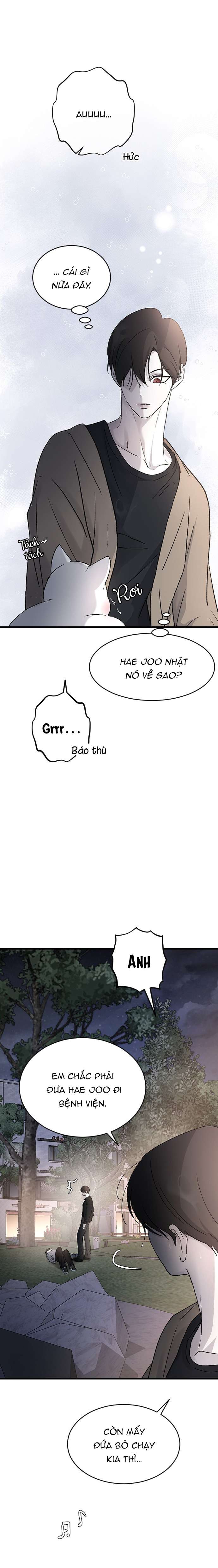 Ba Anh Trai Cực Phẩm Của Tôi Chap 101 - Next Chap 102