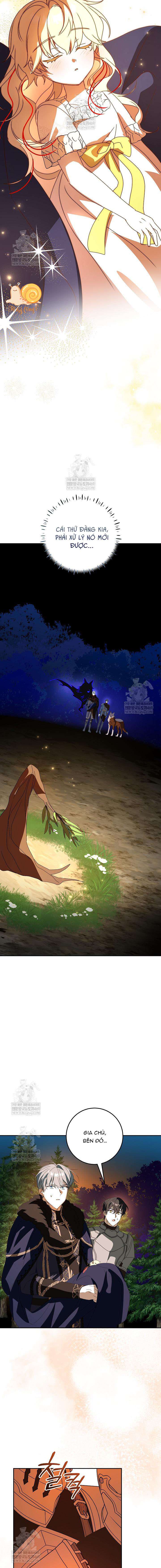 Nàng Chim Được Dinh Thự Sói Yêu Thương Chap 66 - Trang 2