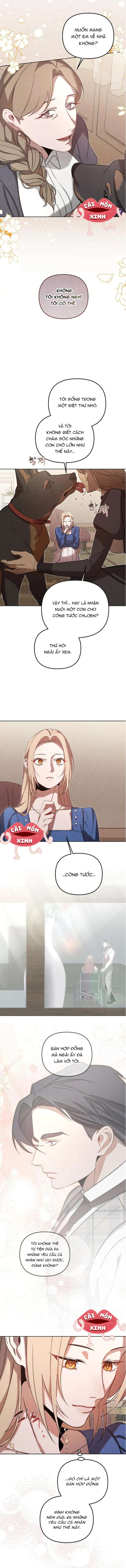 Nơi Đóa Hồng Vàng Úa Tàn Chap 14 - Next Chap 15