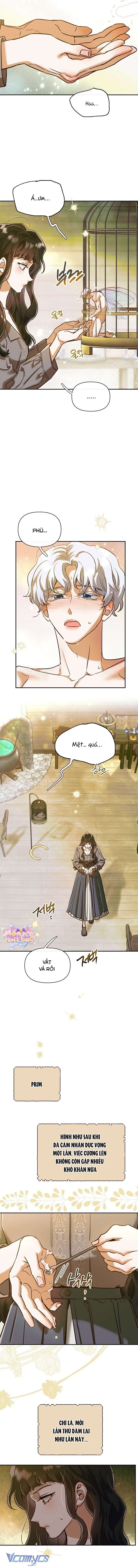 [18+] Nếu Nam Chính Nhỏ Thì Có Hơi Rắc Rối Phải Không? Chap 3 - Next Chap 4