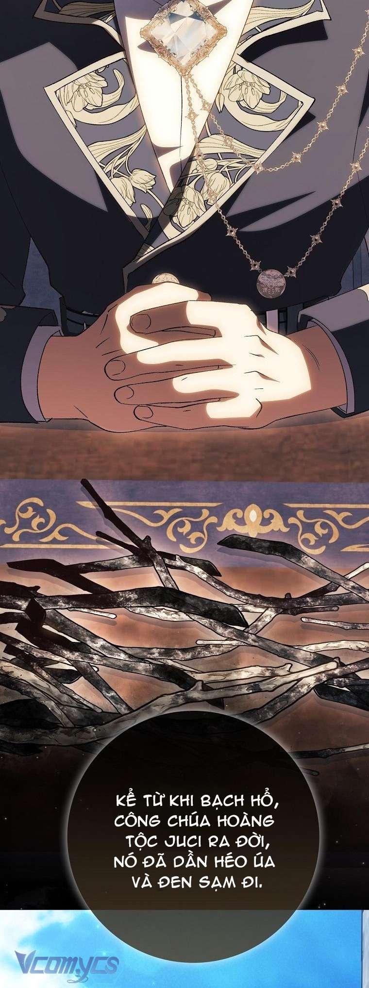 Công Chúa Bạch Hổ Không Có Nguy Hiểm Nha! Chap 12 - Next Chap 13