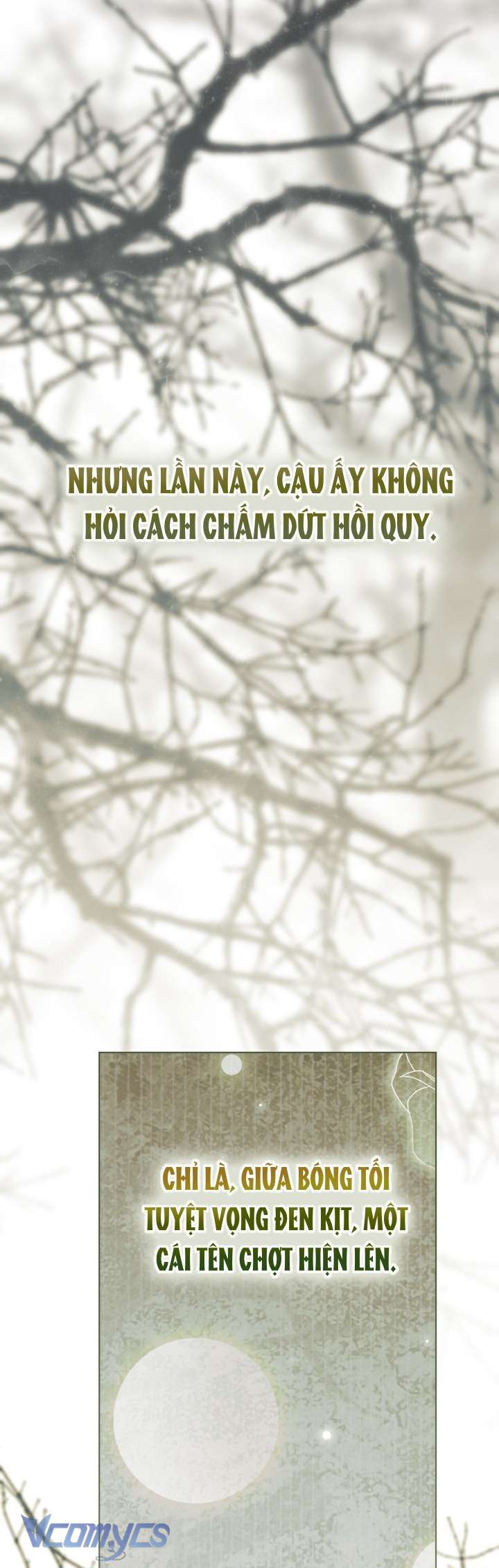 Sự Điều Trị Đặc Biệt Của Tinh Linh Chap 115 - Trang 3