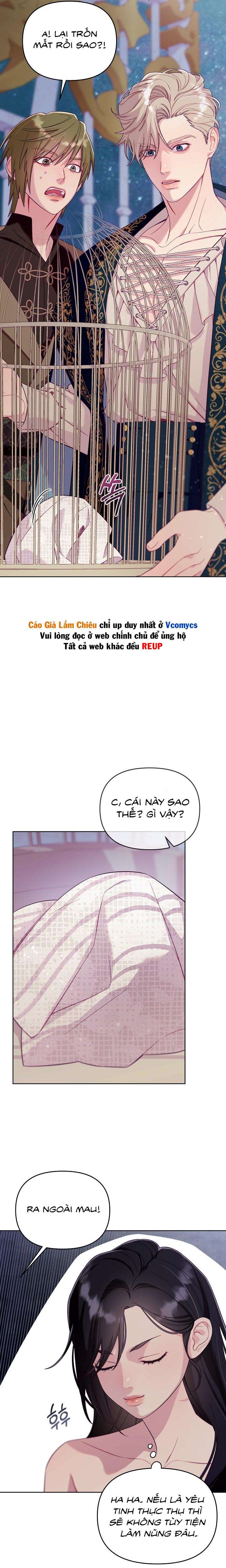 [18+] Lồng Chim Của Người Sưu Tầm Chap 2 - Next Chap 3