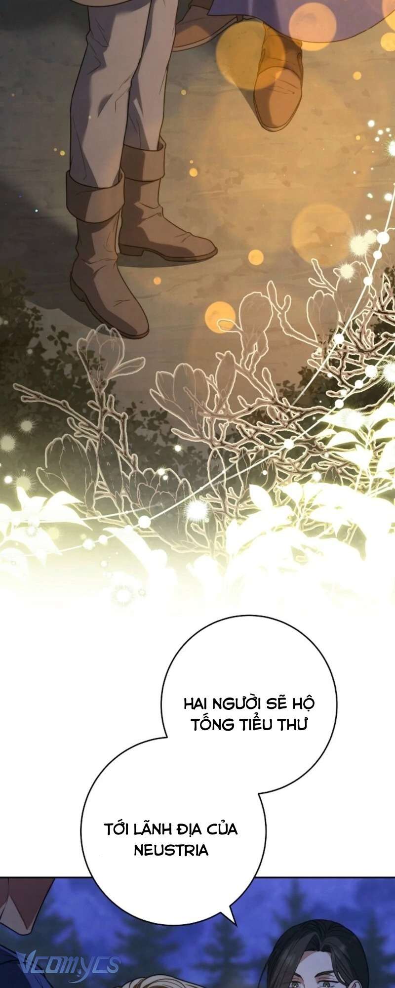 Hôn Nhân Vụ Lợi 2: Bản Tình Ca Không Thể Quên Chap 19 - Trang 2