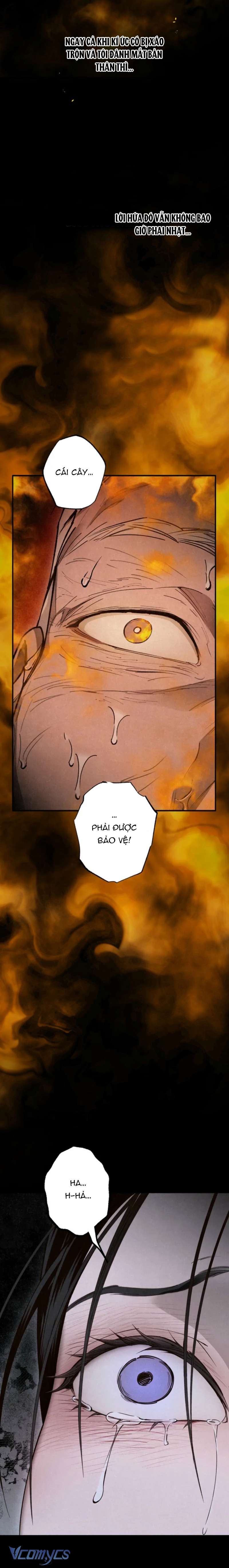 Mùa Hè Bị Nuốt Chửng Bởi Bóng Tối Chap 17 - Next Chap 18