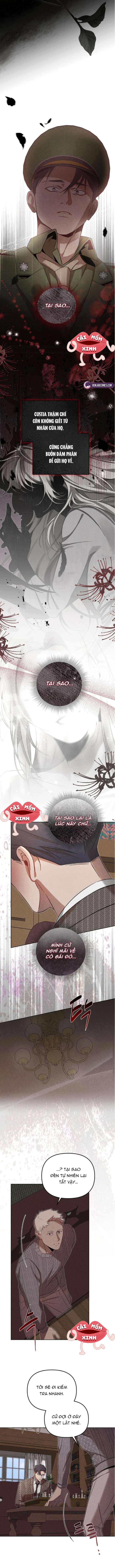Nơi Đóa Hồng Vàng Úa Tàn Chap 14 - Next Chap 15