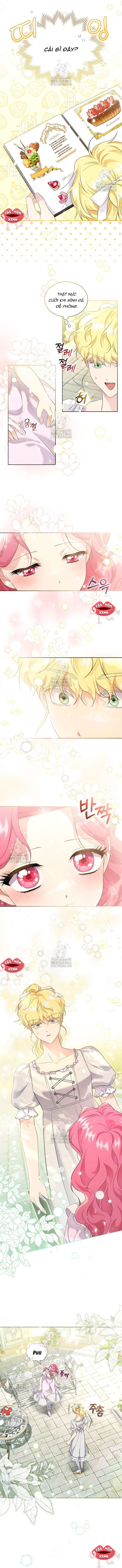 Khi Bị Nam Chính Dịu Dàng Nhưng Cố Chấp Ám Ảnh Chap 12 - Trang 2