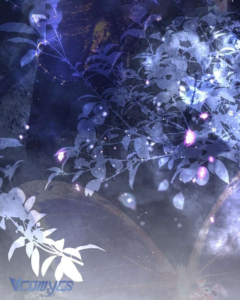 Các Nam Chính Đã Bị Nữ Phụ Cướp Mất Chap 63 - Trang 2