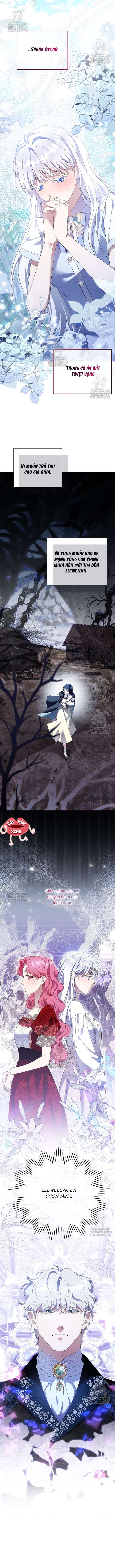 Khi Bị Nam Chính Dịu Dàng Nhưng Cố Chấp Ám Ảnh Chap 27 - Trang 2