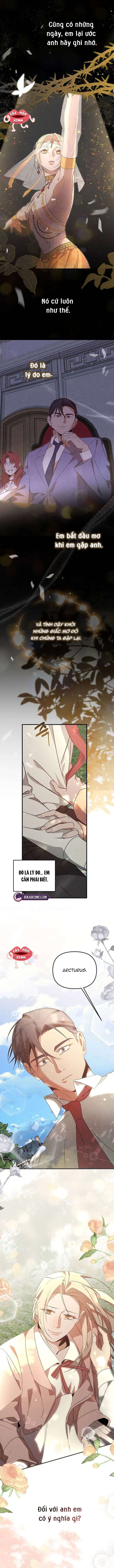 Nơi Đóa Hồng Vàng Úa Tàn Chap 25 - Trang 2