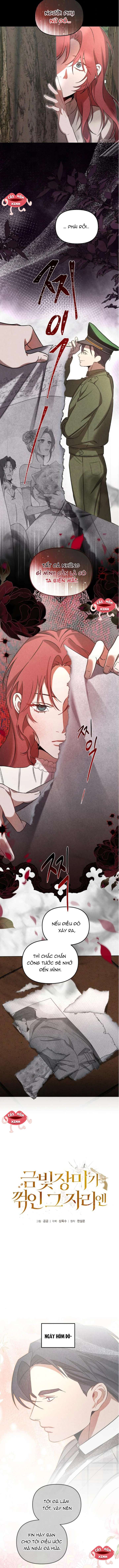 Nơi Đóa Hồng Vàng Úa Tàn Chap 12 - Trang 2