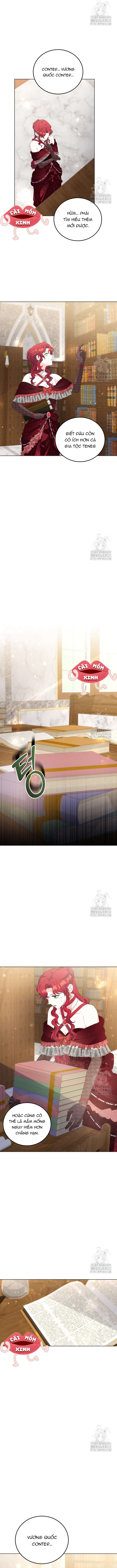 Khi Người Mẹ Kế Tham Vọng Làm Bá Chủ Hậu Cung Chap 15 - Trang 4