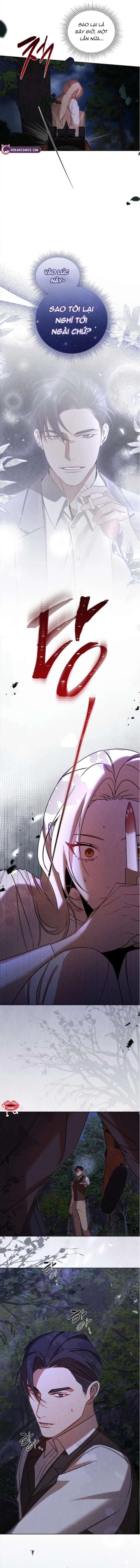 Nơi Đóa Hồng Vàng Úa Tàn Chap 21 - Trang 2