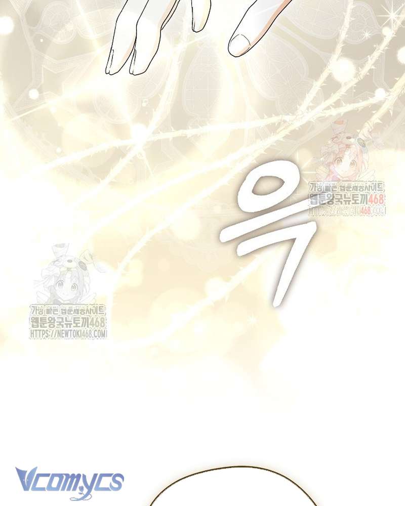 Các Nam Chính Đã Bị Nữ Phụ Cướp Mất Chap 62 - Trang 2