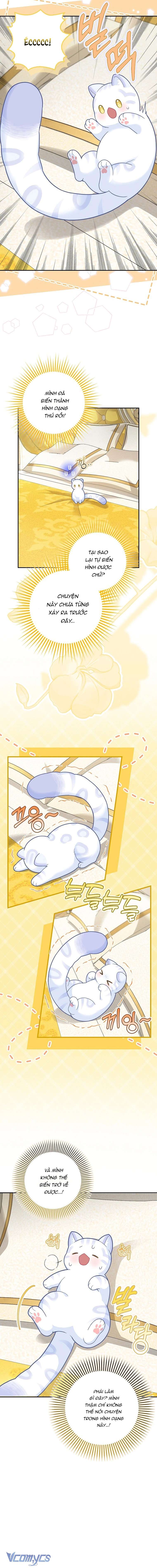 Bé Con Báo Tuyết Của Gia Tộc Báo Đen Chap 21 - Trang 3