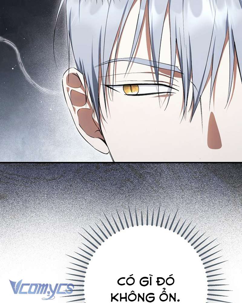 Các Nam Chính Đã Bị Nữ Phụ Cướp Mất Chap 50 - Trang 3