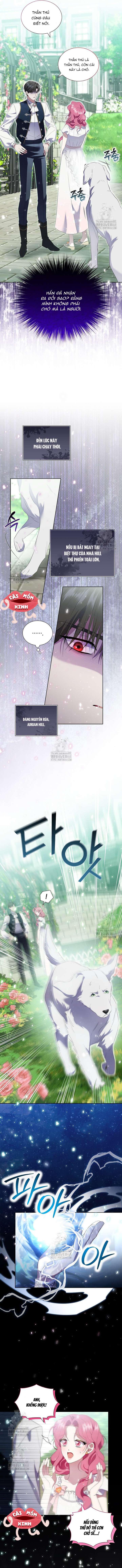 Khi Bị Nam Chính Dịu Dàng Nhưng Cố Chấp Ám Ảnh Chap 14 - Trang 2