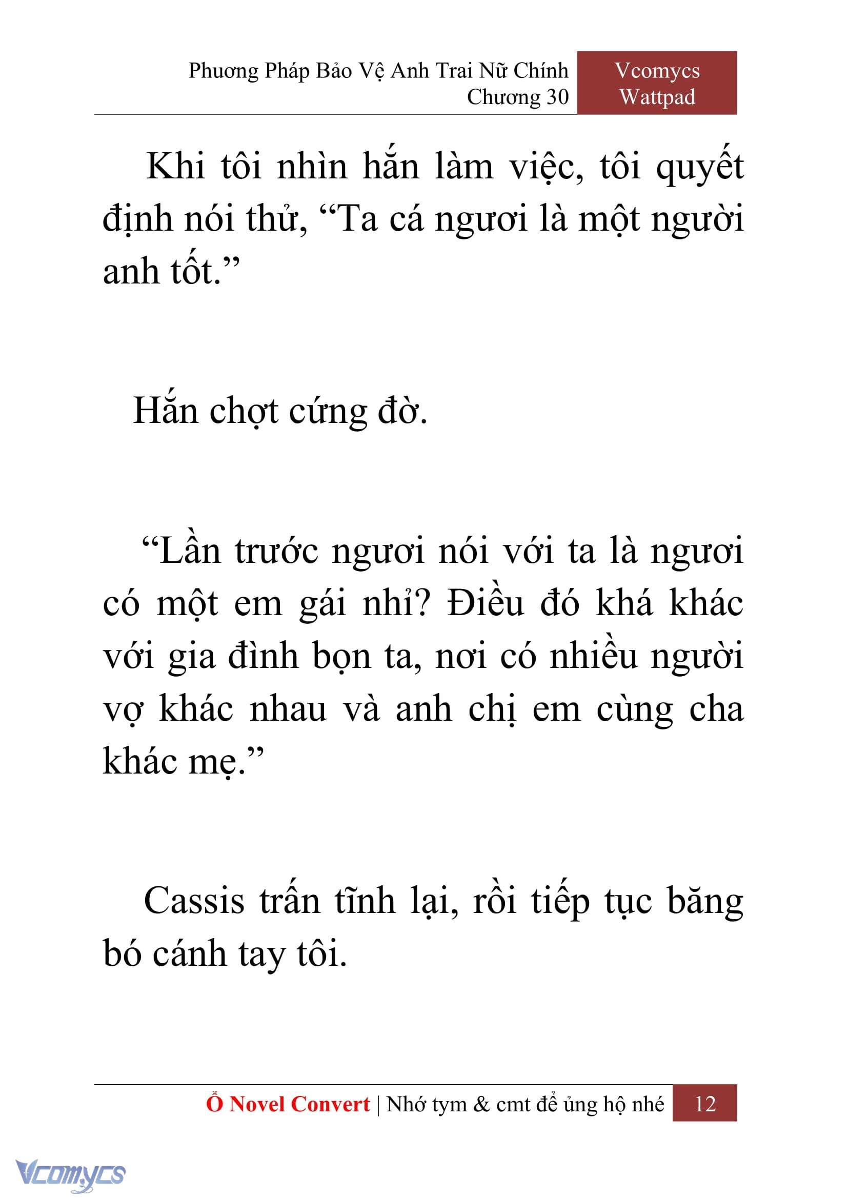 [Novel] Phương Pháp Bảo Vệ Anh Trai Nữ Chính Chap 30 - Trang 2