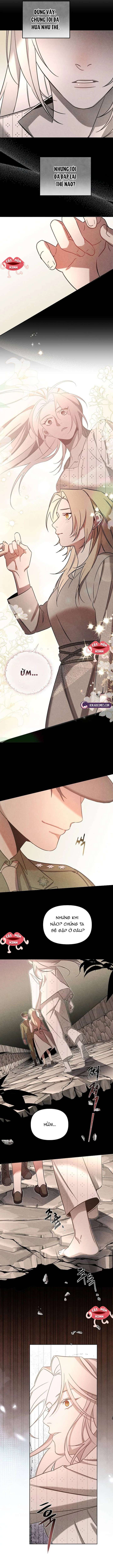 Nơi Đóa Hồng Vàng Úa Tàn Chap 10 - Trang 2