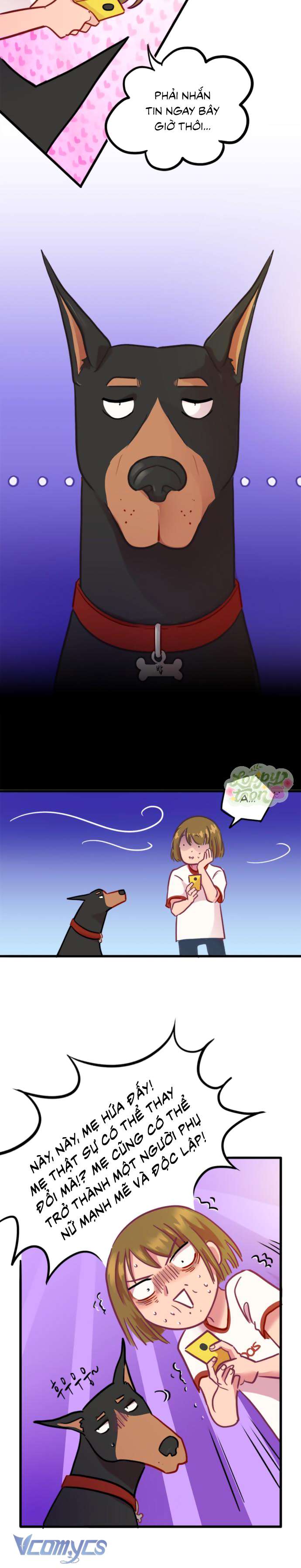 Chú Cún Dạo Bước Cùng Anh Chap 4 - Trang 2