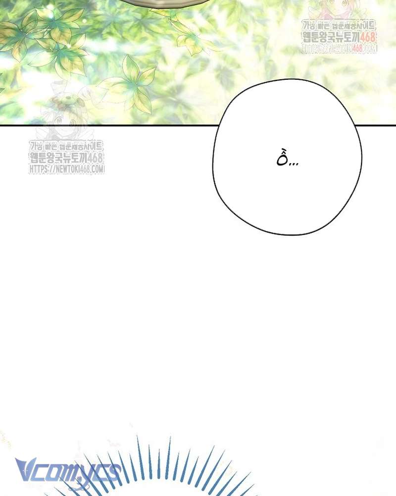 Các Nam Chính Đã Bị Nữ Phụ Cướp Mất Chap 62 - Trang 2