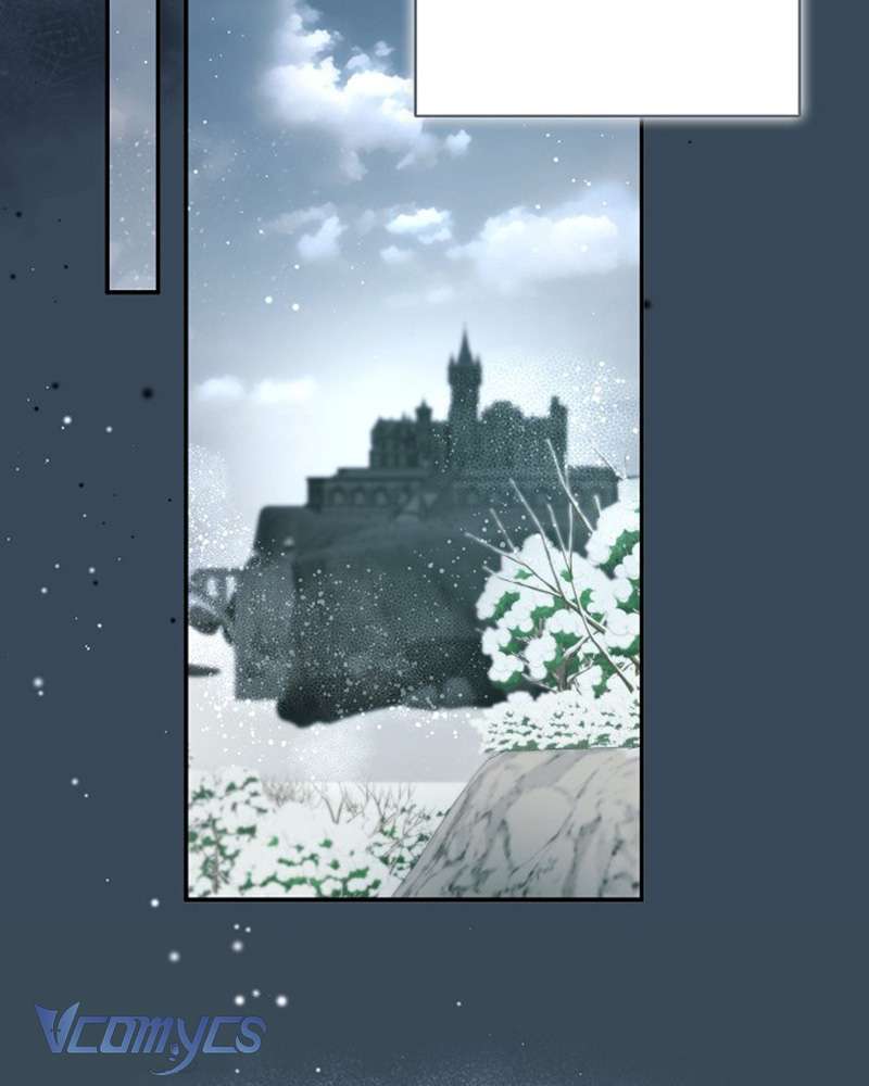 Các Nam Chính Đã Bị Nữ Phụ Cướp Mất Chap 61 - Trang 3