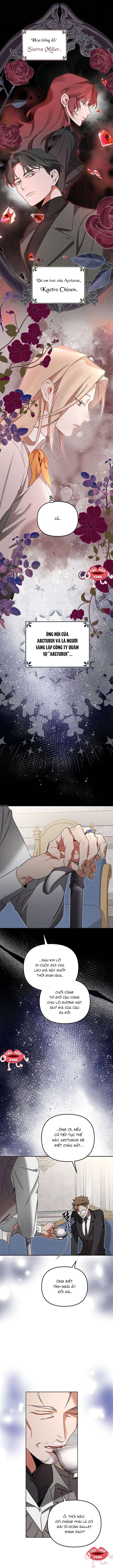 Nơi Đóa Hồng Vàng Úa Tàn Chap 7 - Trang 3