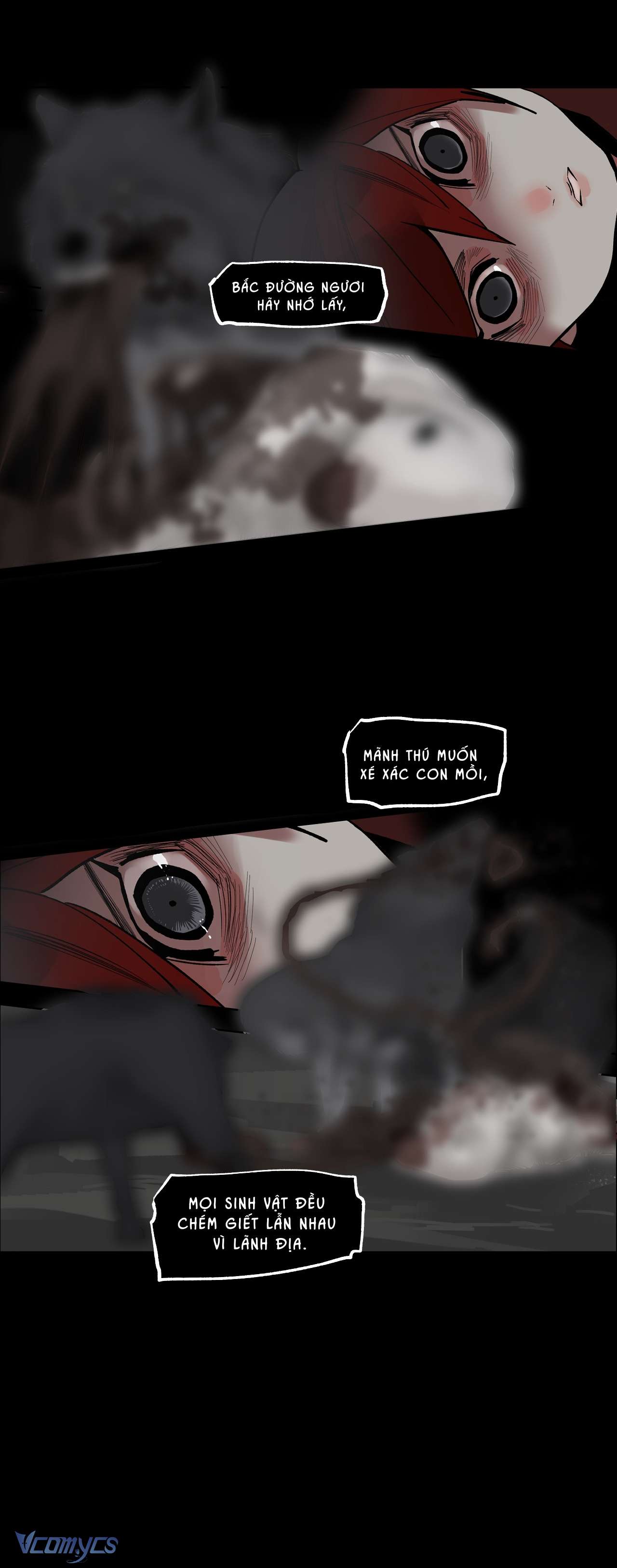 Vì Tinh Tú Bất Diệt Chap 7 - Trang 2