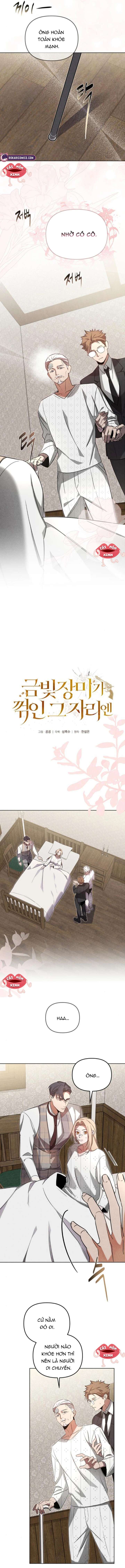 Nơi Đóa Hồng Vàng Úa Tàn Chap 11 - Trang 2