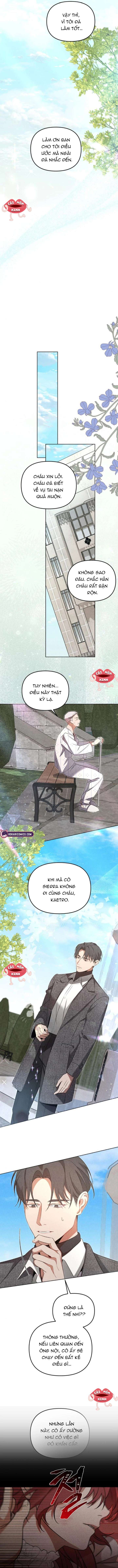 Nơi Đóa Hồng Vàng Úa Tàn Chap 11 - Trang 2