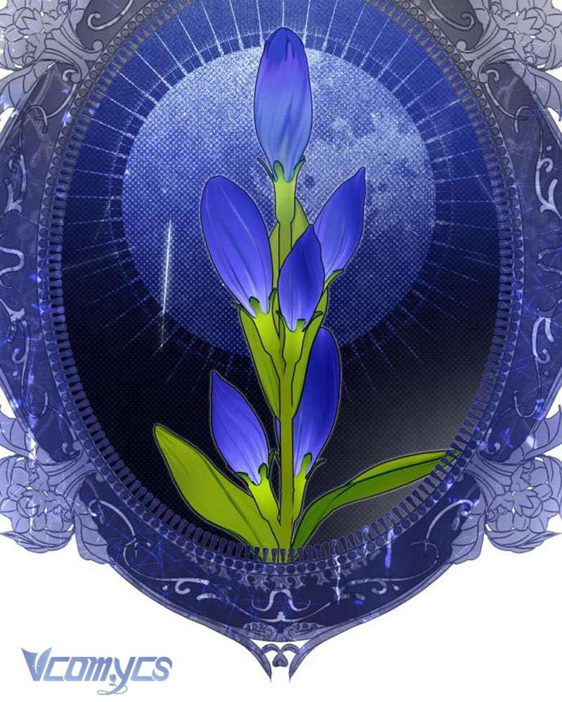 Chuyện Tình Tuyết Phương Bắc Chap 50 - Trang 2