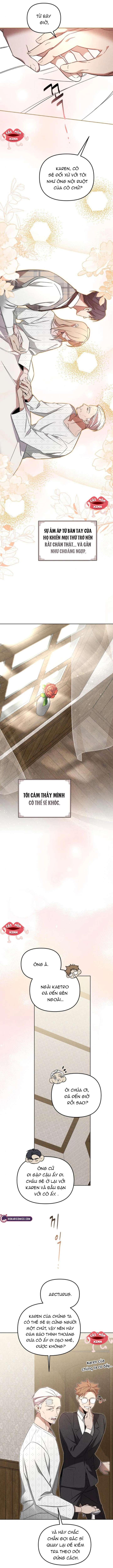 Nơi Đóa Hồng Vàng Úa Tàn Chap 11 - Trang 2