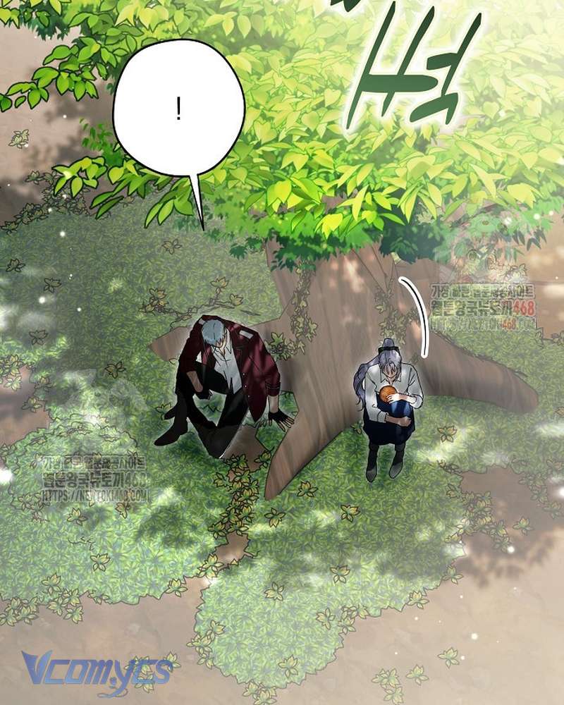 Các Nam Chính Đã Bị Nữ Phụ Cướp Mất Chap 62 - Trang 2