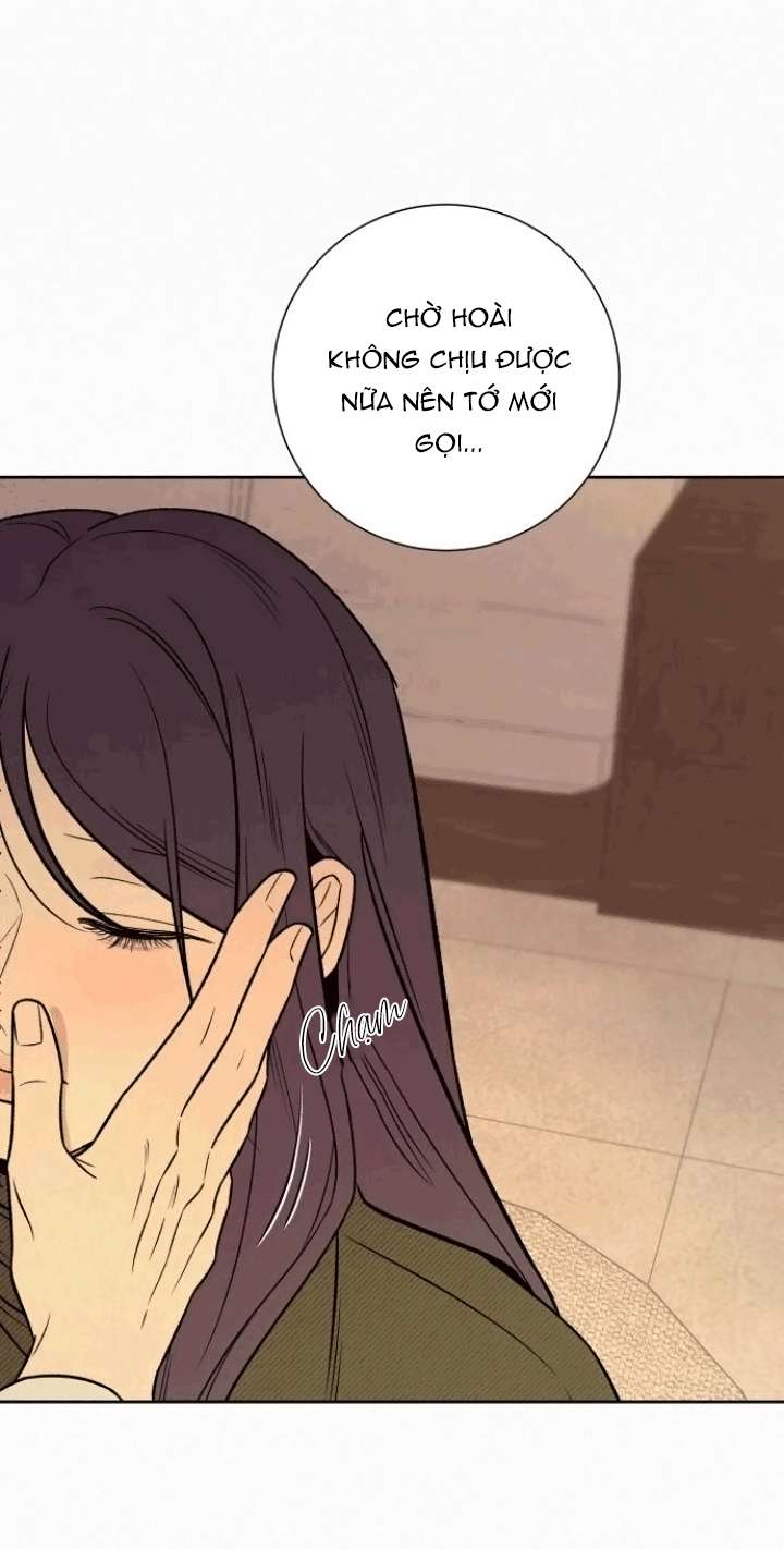 Chiến Lược: Tình Yêu Trong Sáng Chap 127 - Trang 2