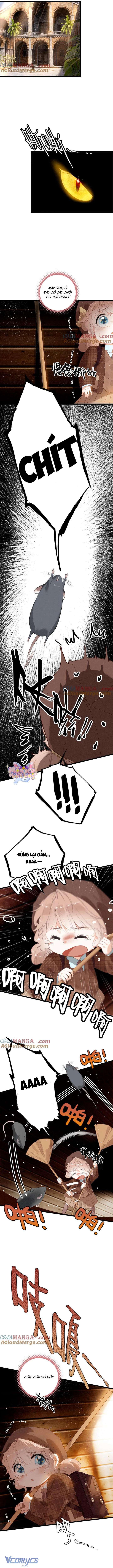 Sau Khi Xuyên Không Thành Tiểu Bảo Bảo, Cả Nhà Phản Diện Đều Muốn Giết Tôi! Chap 6 - Trang 2