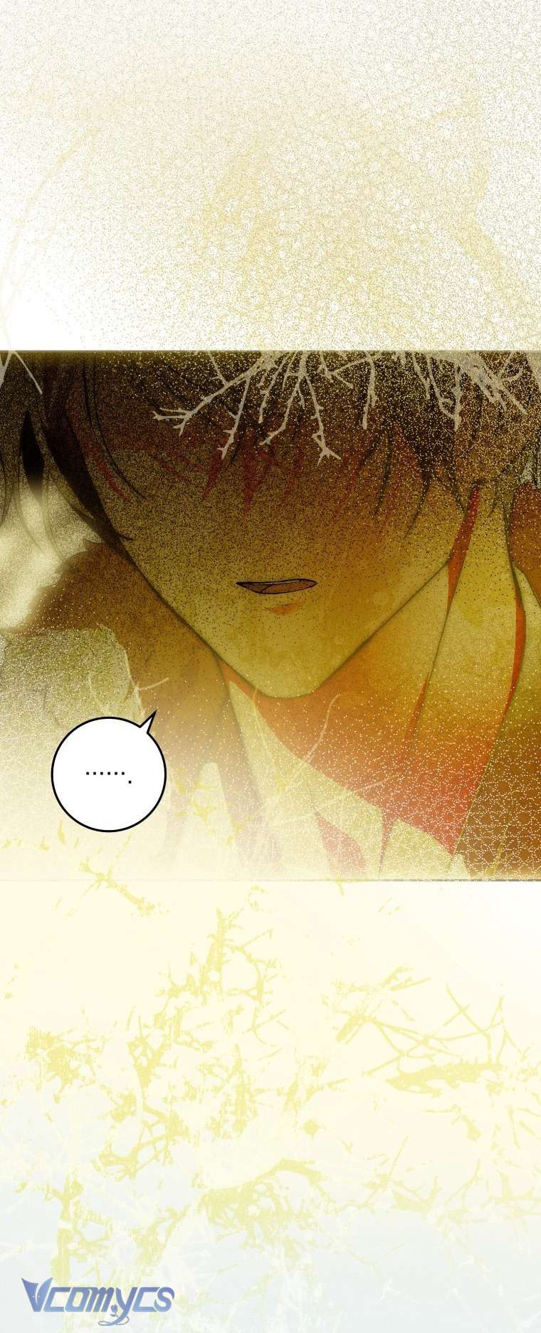 Người Vợ Hắc Ám Của Cậu Chồng Nhỏ Chap 27 - Trang 2