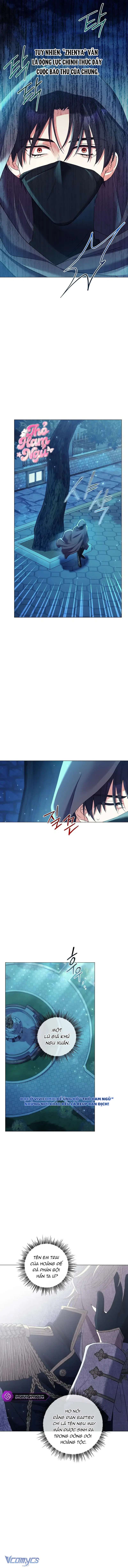 Sao Tôi Có Thể Li Hôn Khi Còn Chưa Kết Hôn Đây, Thưa Bệ Hạ Chap 14 - Trang 2