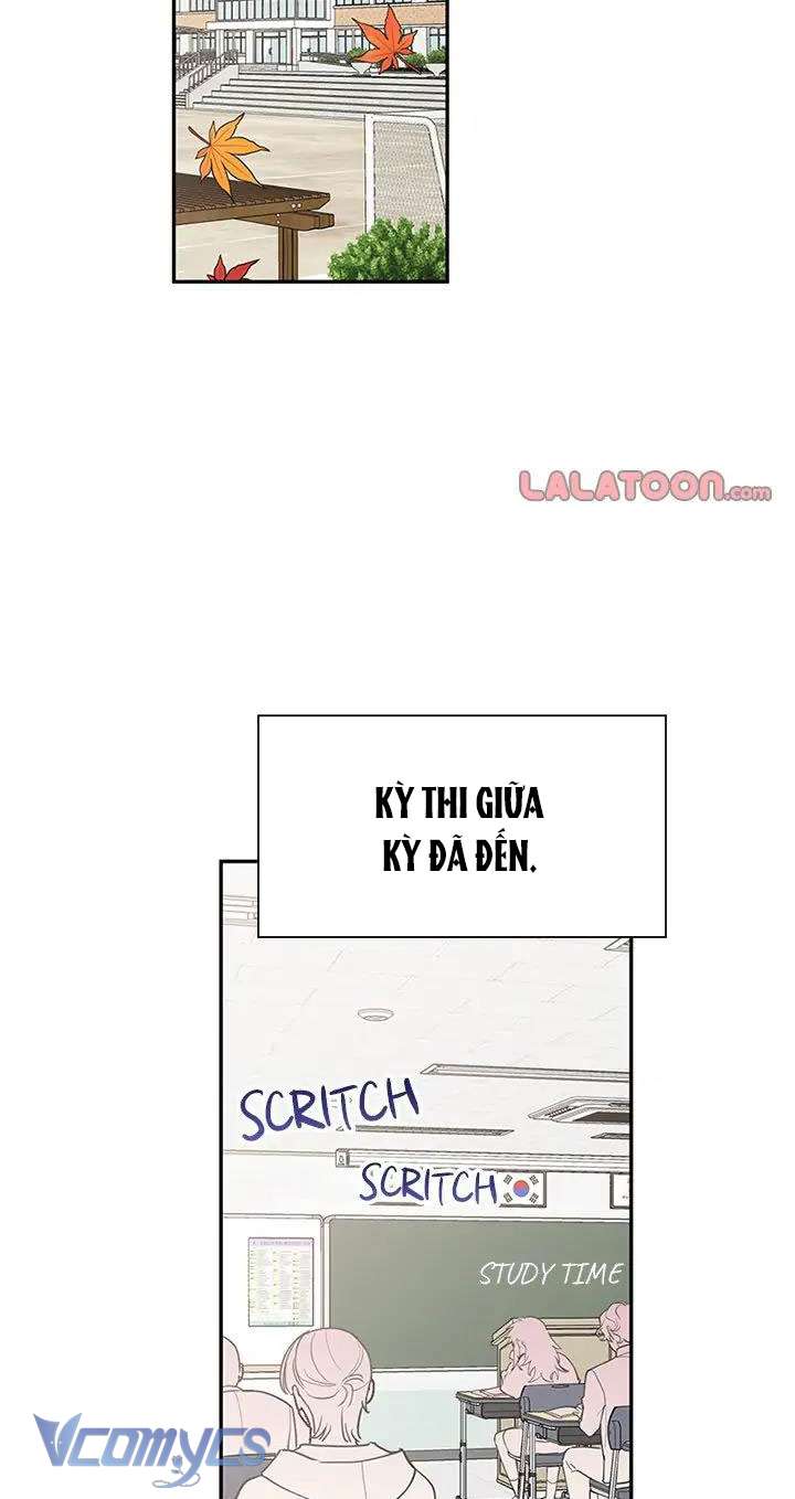 Điều Ước Sao Băng Chap 49 - Trang 4