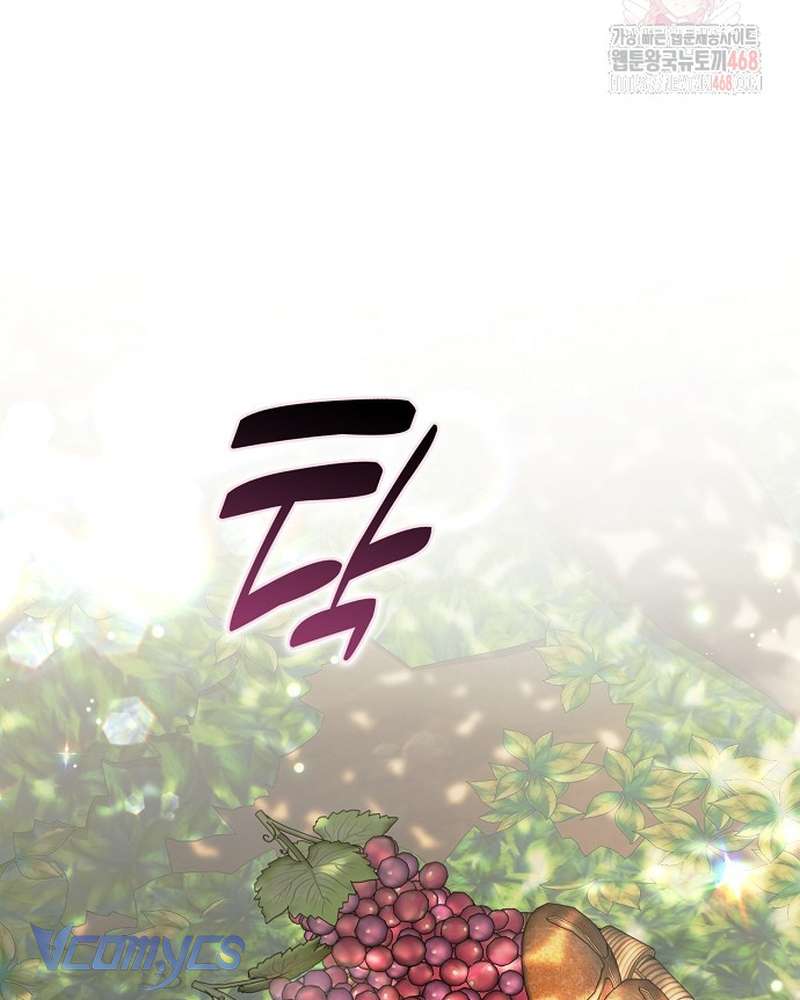 Các Nam Chính Đã Bị Nữ Phụ Cướp Mất Chap 62 - Trang 2