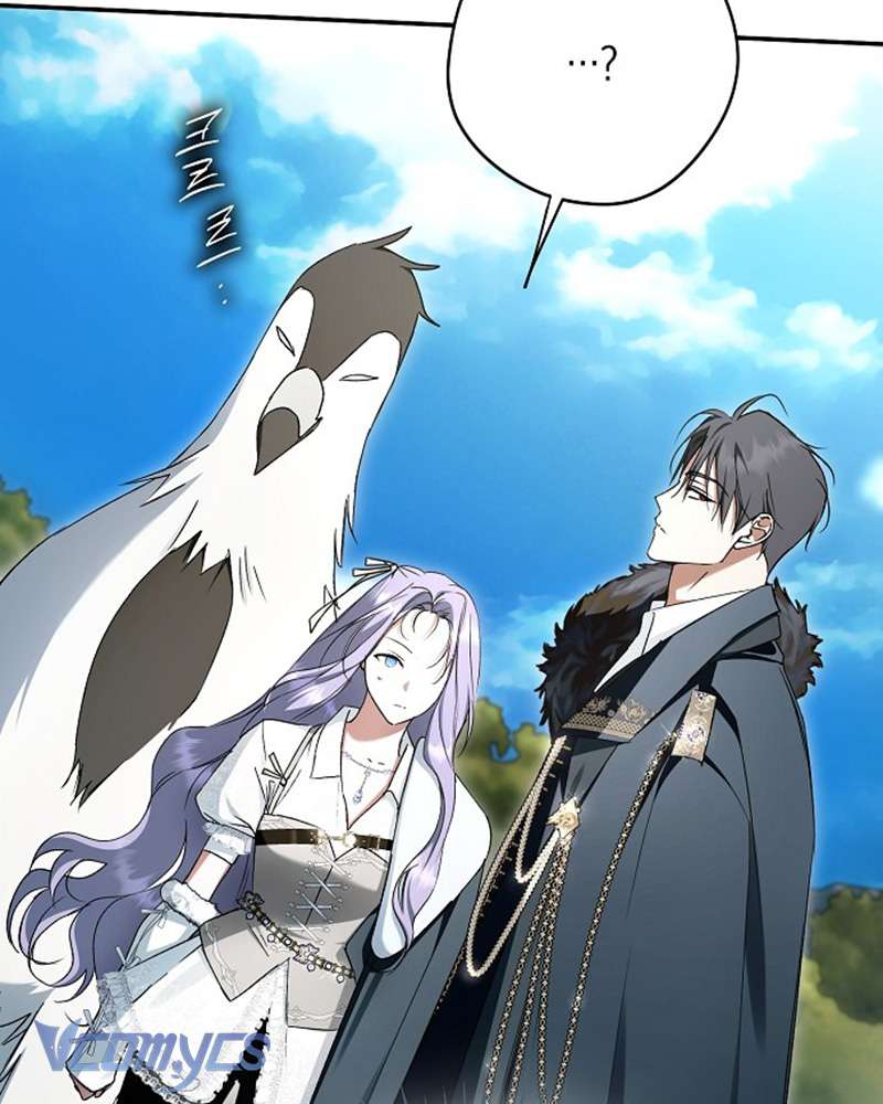 Các Nam Chính Đã Bị Nữ Phụ Cướp Mất Chap 61 - Trang 3