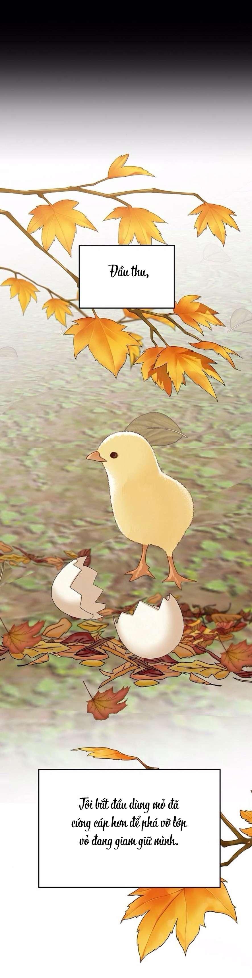 Cẩn Thận Va Phải Tình Yêu Chap 29 - Trang 3