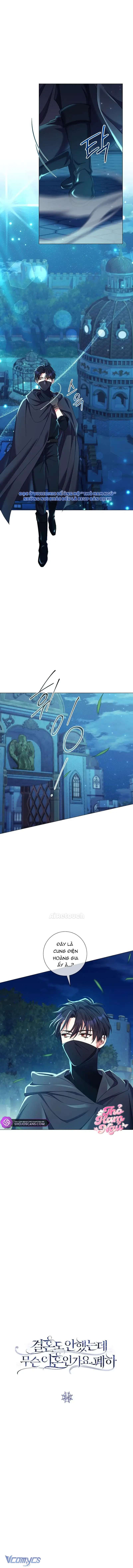 Sao Tôi Có Thể Li Hôn Khi Còn Chưa Kết Hôn Đây, Thưa Bệ Hạ Chap 14 - Trang 2