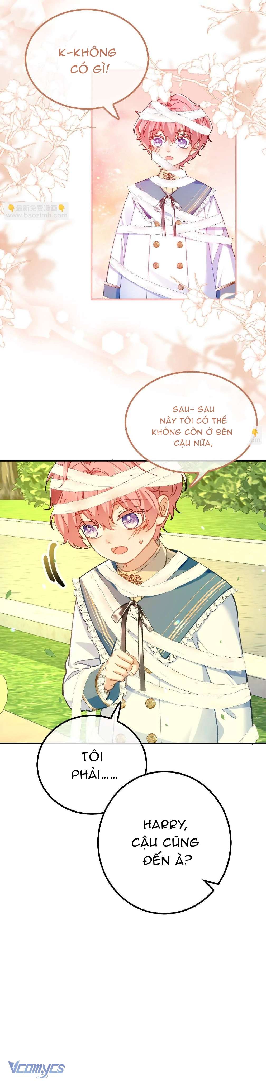 Bạo Chúa Khát Máu Là Chồng Cũ Của Tôi Chap 13 - Trang 2