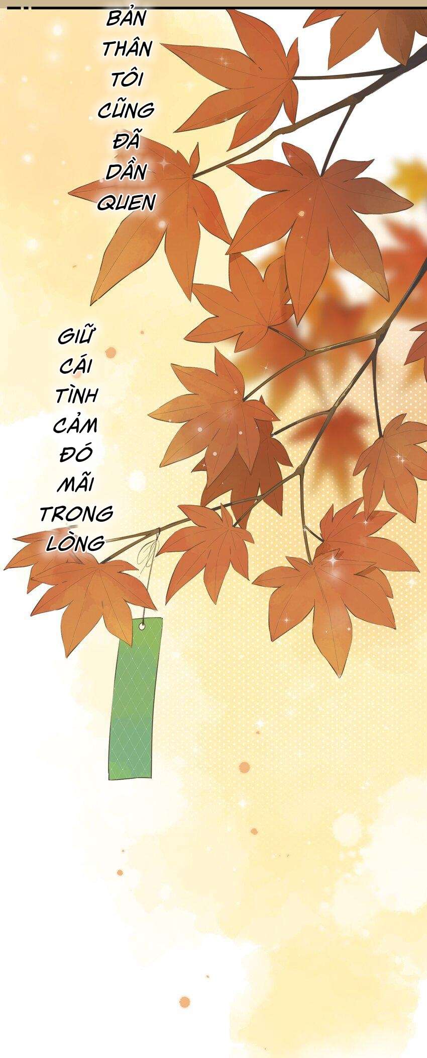 Ánh Sao Phiêu Linh Trong Nước Chap 80 - Trang 3