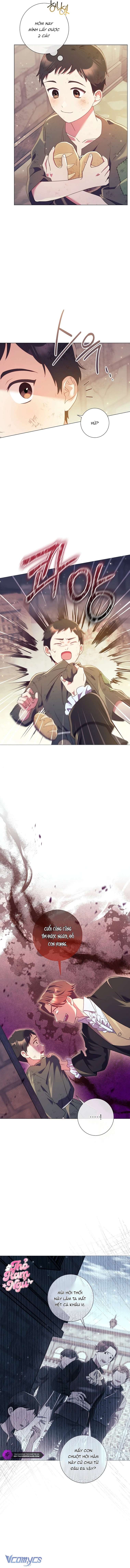 Sao Tôi Có Thể Li Hôn Khi Còn Chưa Kết Hôn Đây, Thưa Bệ Hạ Chap 18 - Trang 2